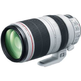 Canon EF 100-400mm f/4.5-5.6L IS USM Lens
