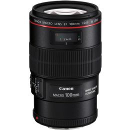 Canon EF 100mm f/2.8L Macro IS USM Lens