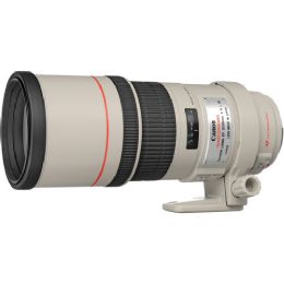 Canon EF 300mm f/4.0L IS USM Lens