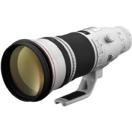 Canon EF 500mm f/4L IS II USM Lens
