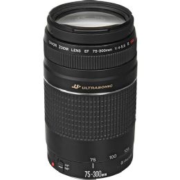 Canon EF 75-300mm f/4.0-5.6 III USM