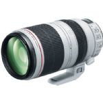 Canon EF 100-400mm f/4.5-5.6L IS USM Lens
