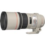 Canon EF 300mm f/4.0L IS USM Lens